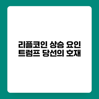 리플코인 상승 요인 트럼프 당선의 호재