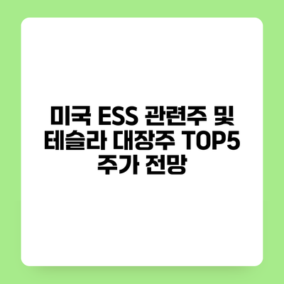미국 ESS 관련주 및 테슬라 대장주 TOP5 주가 전망