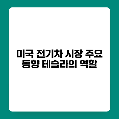 미국 전기차 시장 주요 동향 테슬라의 역할
