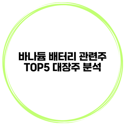 바나듐 배터리 관련주 TOP5 대장주 분석