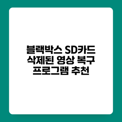 블랙박스 SD카드 삭제된 영상 복구 프로그램 추천