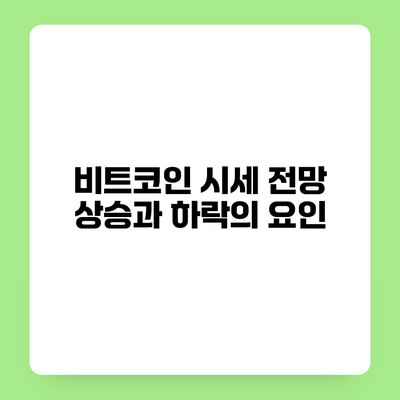 비트코인 시세 전망 상승과 하락의 요인