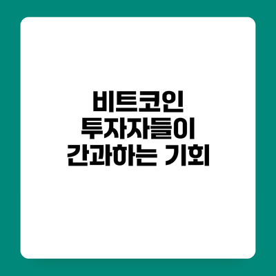 비트코인 투자자들이 간과하는 기회