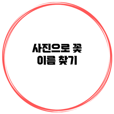 사진으로 꽃 이름 찾기