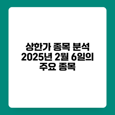 상한가 종목 분석 2025년 2월 6일의 주요 종목
