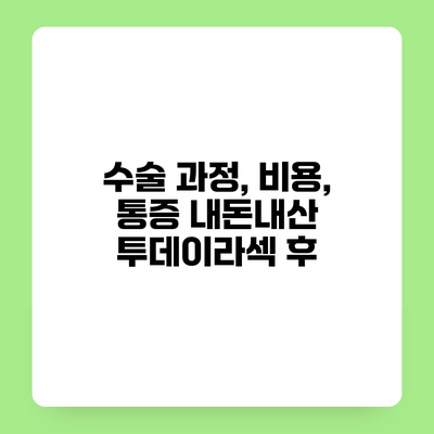 수술 과정, 비용, 통증 내돈내산 투데이라섹 후