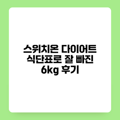 스위치온 다이어트 식단표로 잘 빠진 6kg 후기