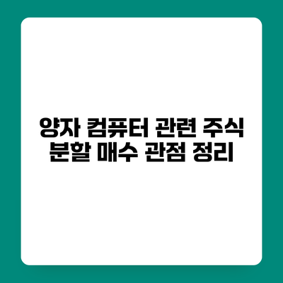 양자 컴퓨터 관련 주식 분할 매수 관점 정리