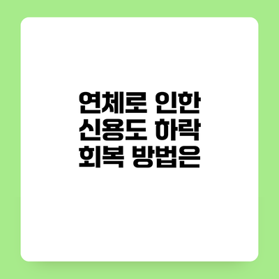 연체로 인한 신용도 하락 회복 방법은?