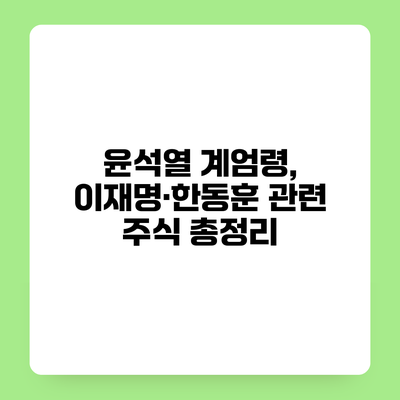 윤석열 계엄령, 이재명·한동훈 관련 주식 총정리