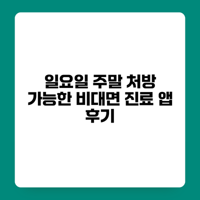 일요일 주말 처방 가능한 비대면 진료 앱 후기