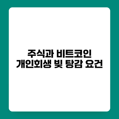 주식과 비트코인 개인회생 빚 탕감 요건
