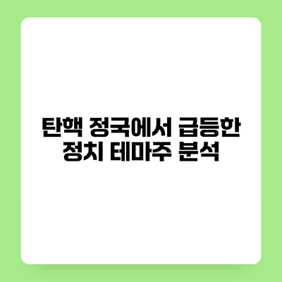 탄핵 정국에서 급등한 정치 테마주 분석