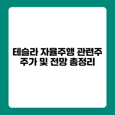 테슬라 자율주행 관련주 주가 및 전망 총정리