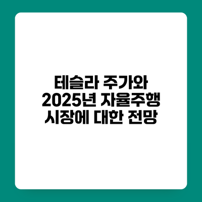 테슬라 주가와 2025년 자율주행 시장에 대한 전망