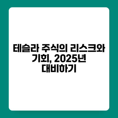 테슬라 주식의 리스크와 기회, 2025년 대비하기