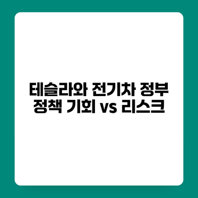 테슬라와 전기차 정부 정책 기회 vs 리스크