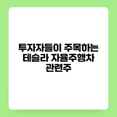 투자자들이 주목하는 테슬라 자율주행차 관련주