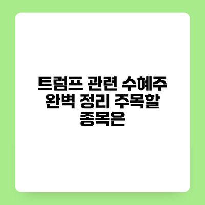 트럼프 관련 수혜주 완벽 정리 주목할 종목은?