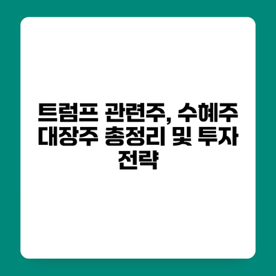 트럼프 관련주, 수혜주 대장주 총정리 및 투자 전략