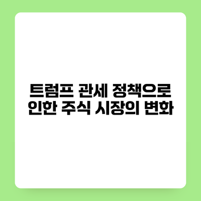 트럼프 관세 정책으로 인한 주식 시장의 변화