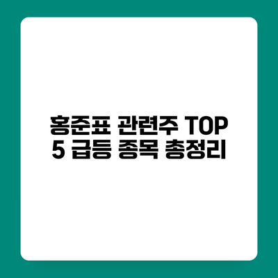 홍준표 관련주 TOP 5 급등 종목 총정리