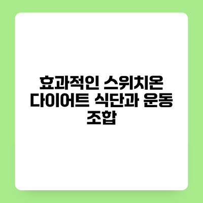 효과적인 스위치온 다이어트 식단과 운동 조합